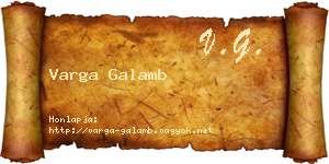 Varga Galamb névjegykártya